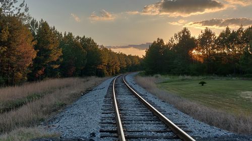 Lonely tracks 