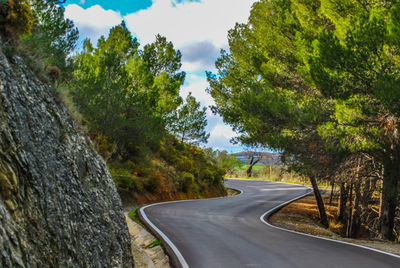 Road amidst trees against sky