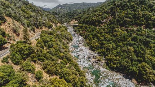 High angle view of river amidst trees