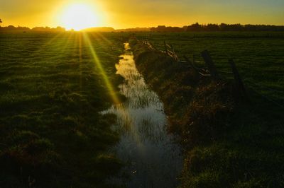 Scenic view of grassy field against sky at sunset