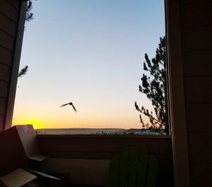 Silhouette bird flying over sea against clear sky