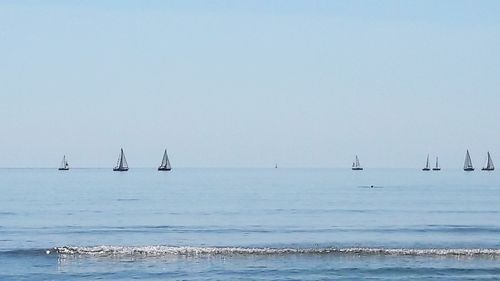 Sailboats sailing in sea against clear sky