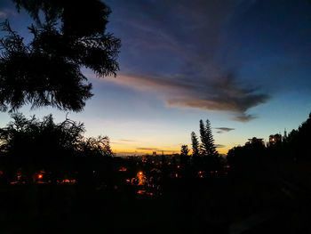 Silhouette trees against sky during sunset