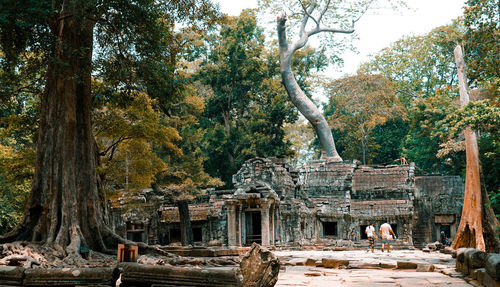 People by tree trunk against temple