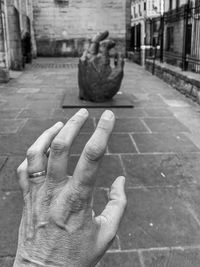 Human hand on zebra crossing
