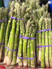 Bunch of asparagus 