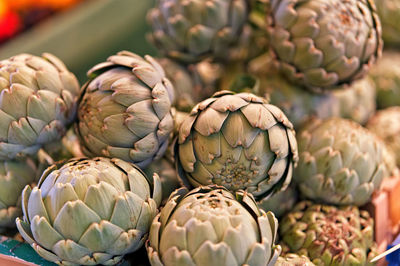 Viktualienmarkt - artichokes