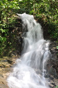 View of waterfall in forest