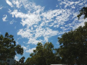 Low angle view of trees against sky