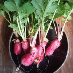 Close-up of red chili peppers