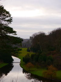 View of river amidst trees against sky