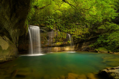 Scenic view of waterfall in forest