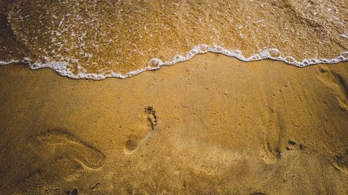 High angle view of footprints on beach