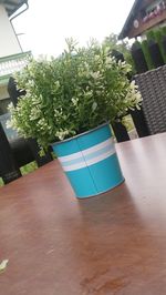 High angle view of potted plants on table