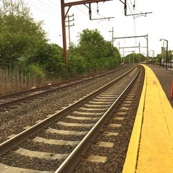 Railroad tracks along trees