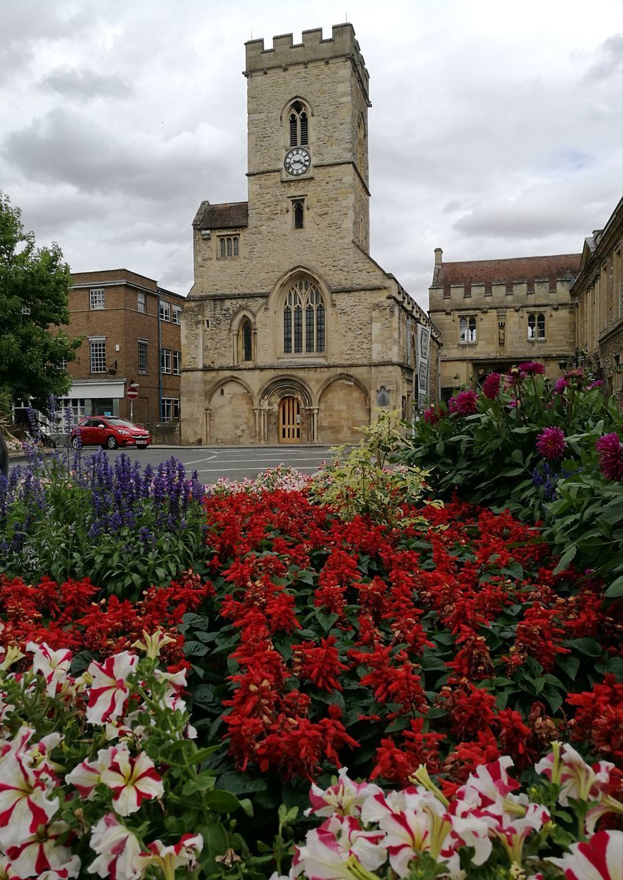FLOWERING PLANTS BY HISTORIC BUILDING
