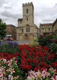 Flowering plants by historic building against sky