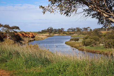 Scenic view of river landscape against sky