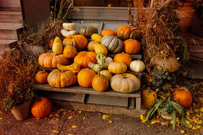 High angle view of pumpkins for sale at market stall