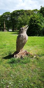 View of bird on wood in field