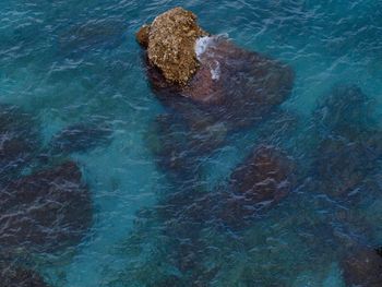 High angle view of sea