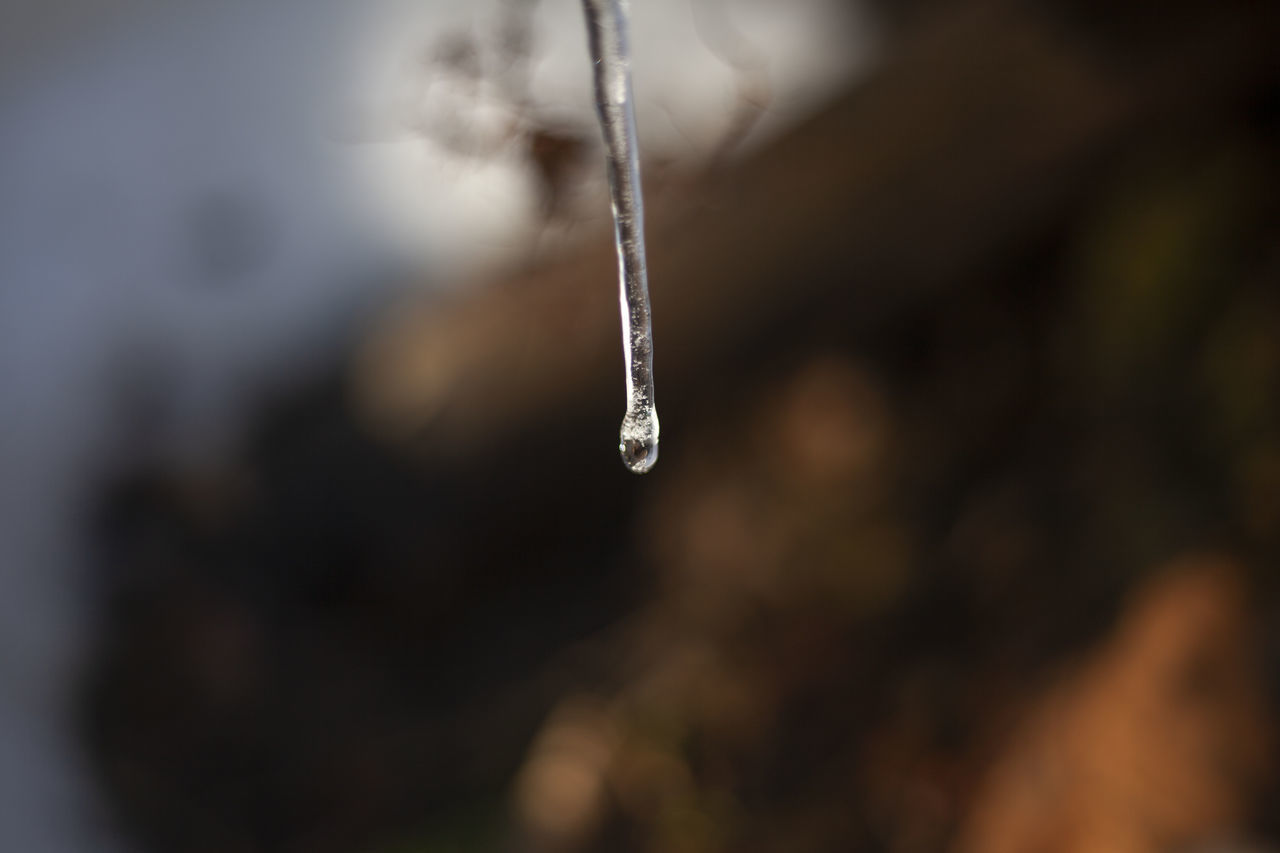 CLOSE-UP OF FROZEN WATER