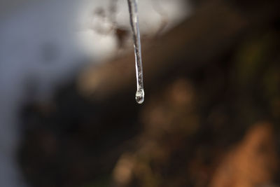 Close-up of ice crystals