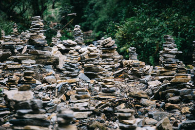 Close-up of statues