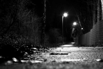 Illuminated trees during winter at night