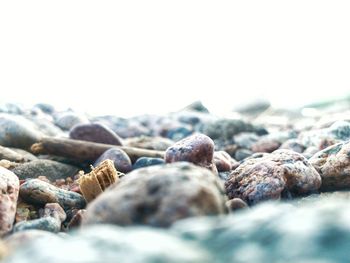 Close-up of stones on beach