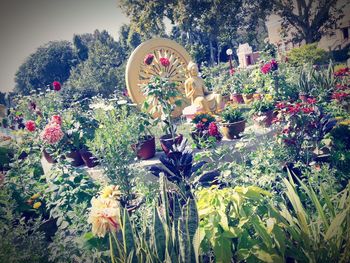 View of flowering plants in yard