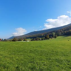 Scenic view of field against sky