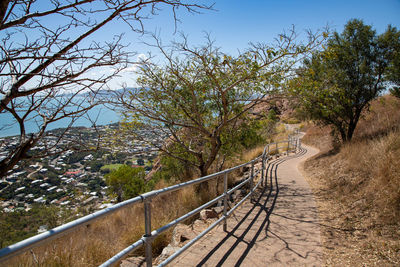 Footpath amidst trees against sky