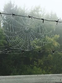 Spider web on fence against sky