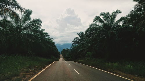 Road amidst trees against sky