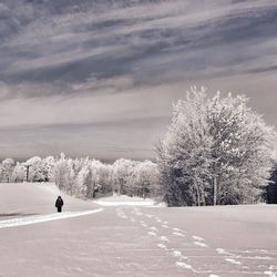 Scenic view of snow covered landscape