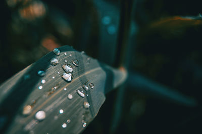 Close-up of water drops on metal