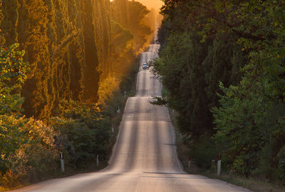 Road amidst trees in forest during autumn