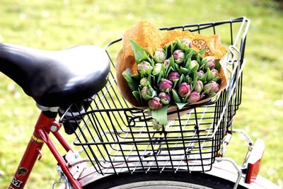 Close-up of fruits in basket