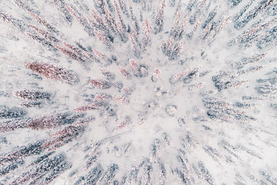 Full frame shot of frozen trees on snowcapped landscape during winter