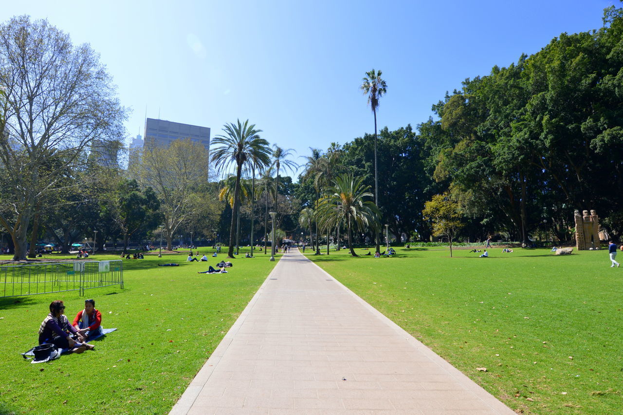 PEOPLE ON FOOTPATH IN PARK