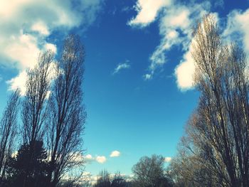 Low angle view of trees against cloudy sky