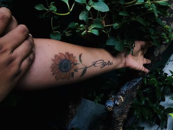 Close-up of tattoo on hand by plants