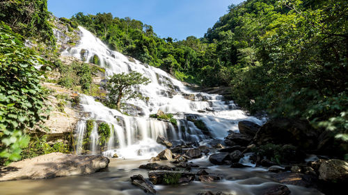 Scenic view of waterfall in forest