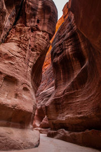 Petra ,kingdom of jordan,the siq