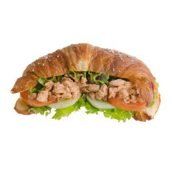 Close-up of sandwich against white background