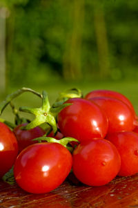 Close-up of tomatoes