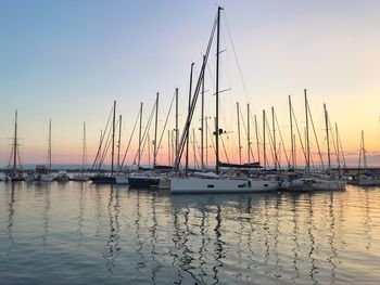 Sailboats in marina at sunset