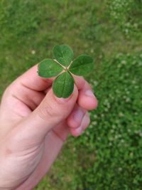 Close-up of hand holding leaf on field