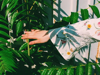 Midsection of woman touching plant